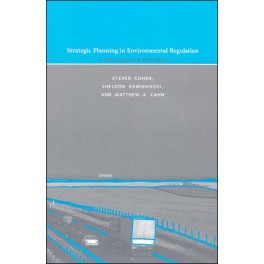 Strategic Planning in Environmental Regulation