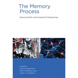The Memory Process