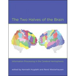 The Two Halves of the Brain