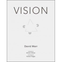 Vision