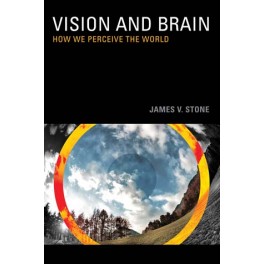 Vision and Brain