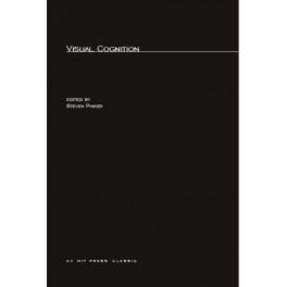 Visual Cognition