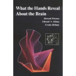 What the Hands Reveal about the Brain