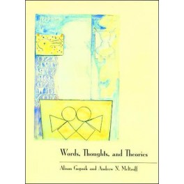 Words, Thoughts, and Theories
