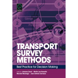 Transport Survey Methods: Best Practice for Decision Making