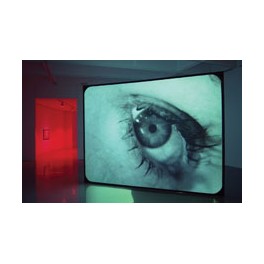 Douglas Gordon: Timeline