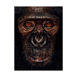 James & Other Apes
