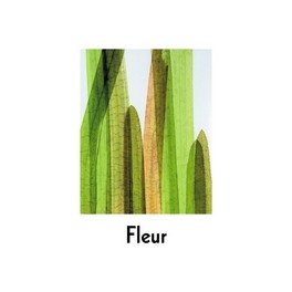 Fleur