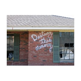 Richard Misrach: Destroy This Memory
