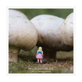 Microworlds