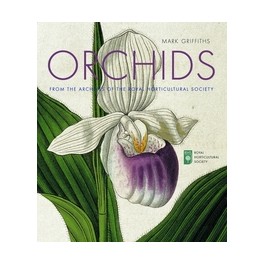Orchids