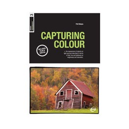 Basics Photography 03: Capturing Colour