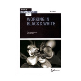 Basics Photography 06: Working in Black & White