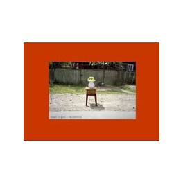 Roman Signer