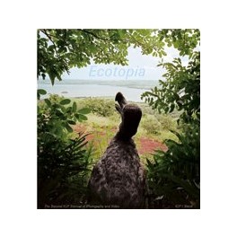 Ecotopia: The Second ICP Triennial of Photography and Video