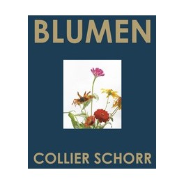 Collier Schorr