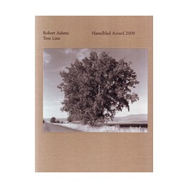 Robert Adams