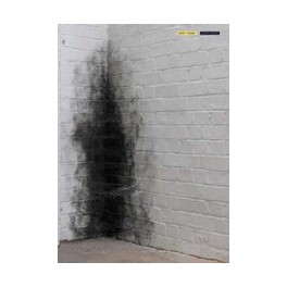 Anish Kapoor