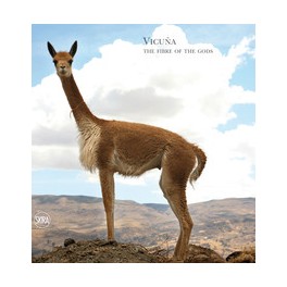 Vicuña