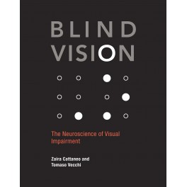 Blind Vision