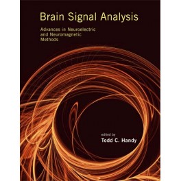 Brain Signal Analysis