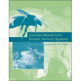 Complex Worlds from Simpler Nervous Systems