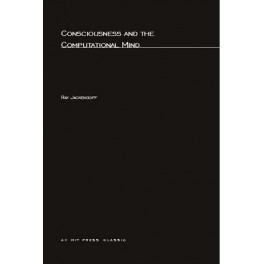 Consciousness and the Computational Mind