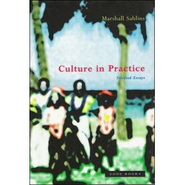 Culture in Practice
