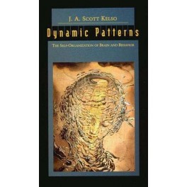 Dynamic Patterns