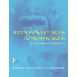 From Monkey Brain to Human Brain