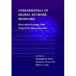 Fundamentals of Neural Network Modeling