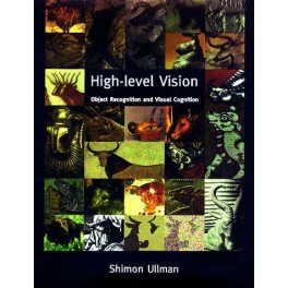 High-Level Vision