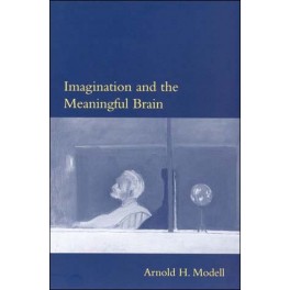 Imagination and the Meaningful Brain