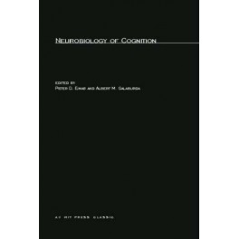 Neurobiology of Cognition