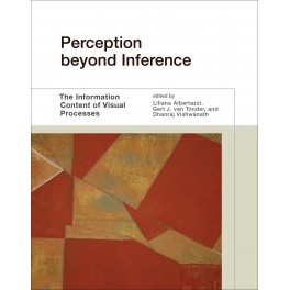 Perception beyond Inference