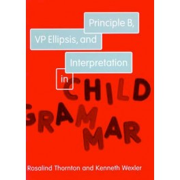 Principle B, VP Ellipsis, and Interpretation in Child Grammar