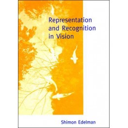 Representation and Recognition in Vision